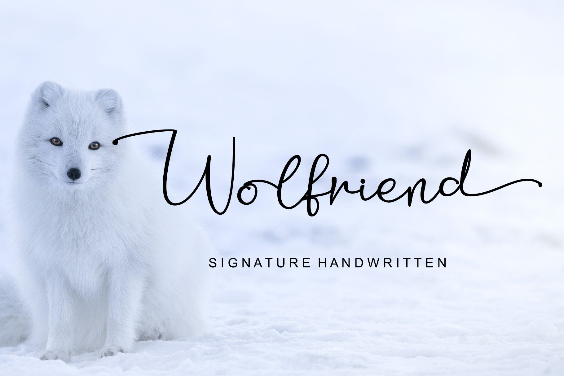 Wolfriend - Personal Use